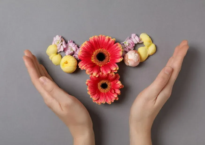 A Complete Guide to Women’s Reproductive Health and Preventive Care Women’s Reproductive Health